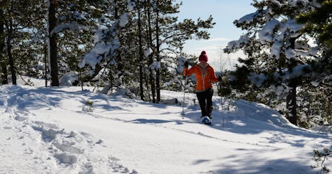 Snowshoe adventure from Stockholm
